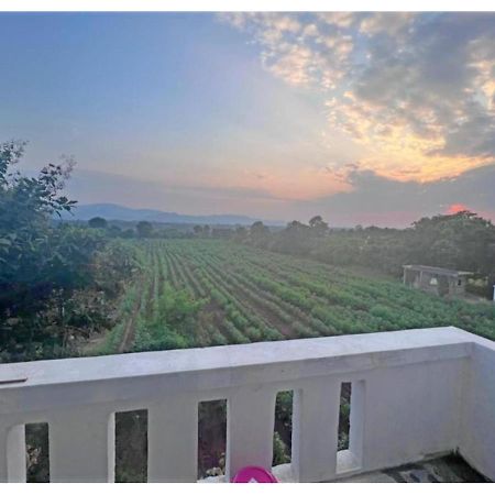 Hari Homestay, Garudeshwar エクステリア 写真